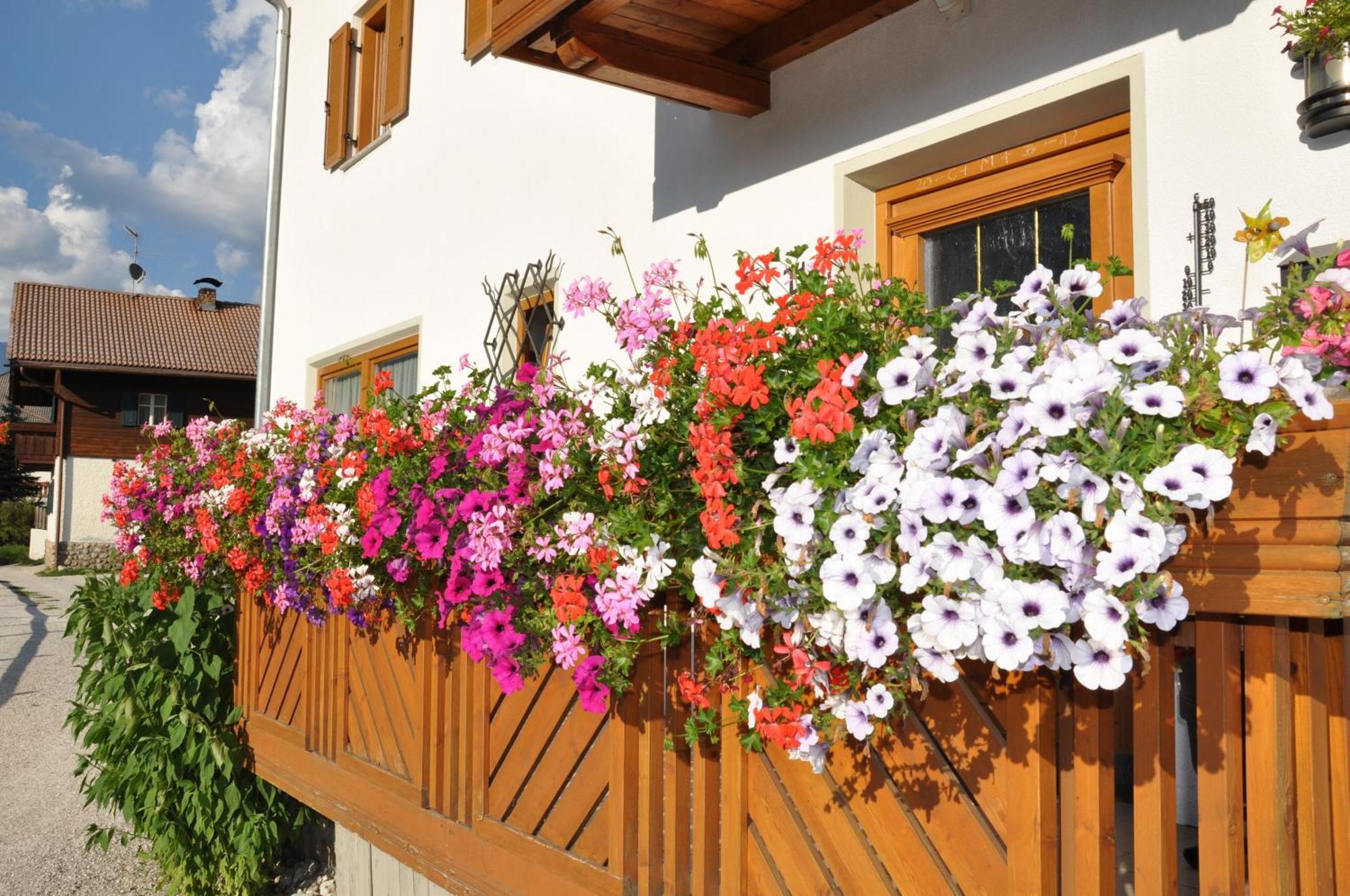 Appartements Wiesenheim Rasun di Sopra Extérieur photo